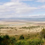 DE SAFARI EN KENIA Y RELAX EN DIANI BEACH ( 10 Dias 9 Noche)